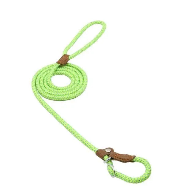 Nylon Pup Set My Store