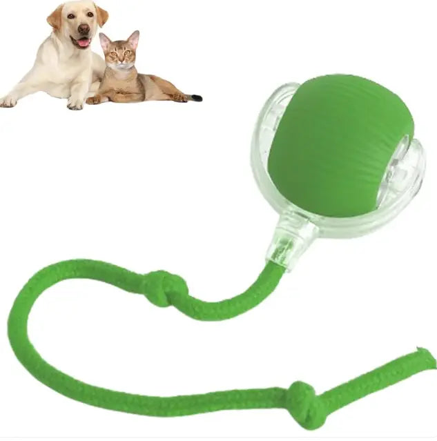 Automatic Rolling Pet Ball – Interactive Self-Moving Toy for Cats & Dogs My Store