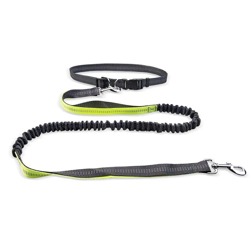 Dog Walking Belt with Detachable Shockproof Leash My Store