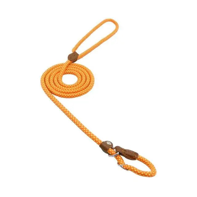 Nylon Pup Set My Store