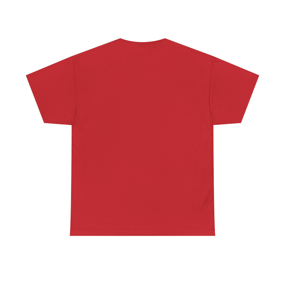 Retro Mystic Gnomes T-Shirt