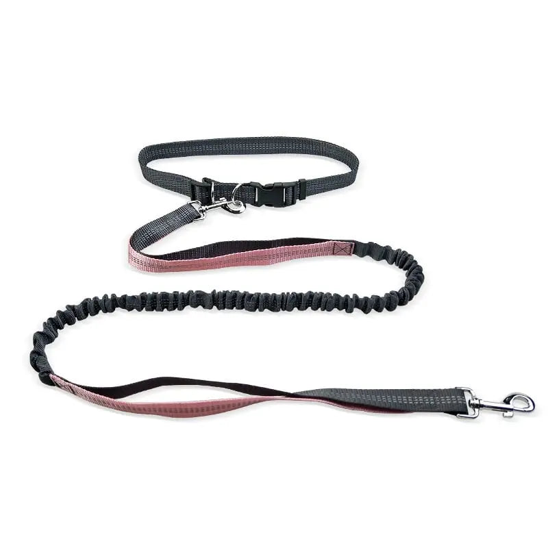 Dog Walking Belt with Detachable Shockproof Leash My Store