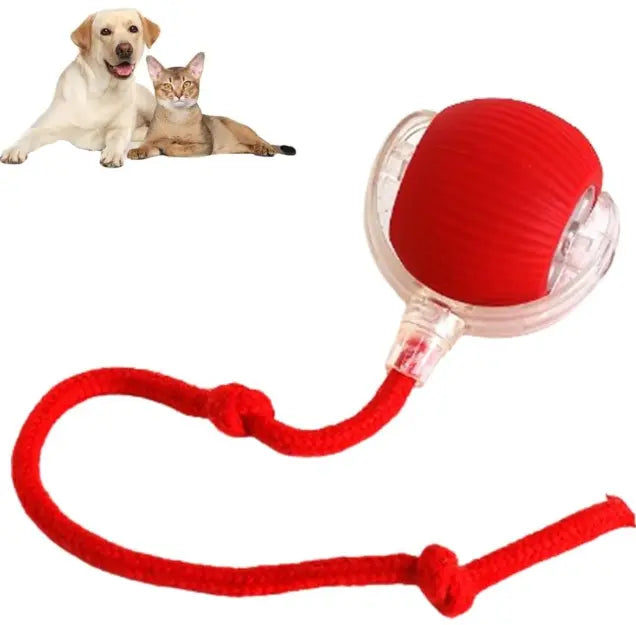 Automatic Rolling Pet Ball – Interactive Self-Moving Toy for Cats & Dogs My Store