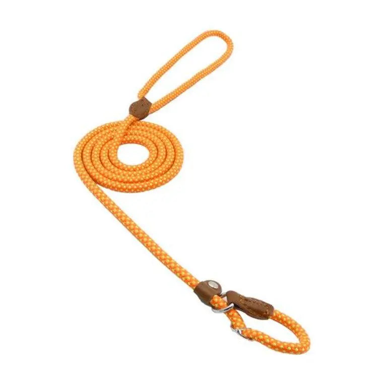 Nylon Pup Set My Store