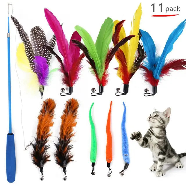 Retractable Cat Feather Toy for Indoor Cats MyStore