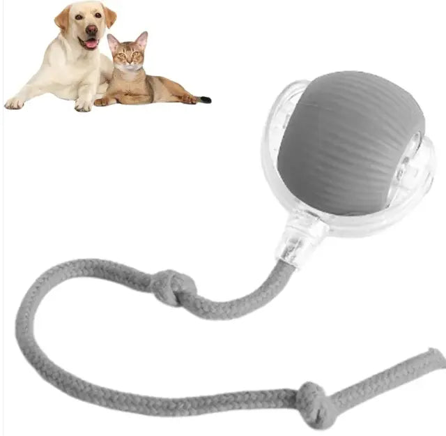 Automatic Rolling Pet Ball – Interactive Self-Moving Toy for Cats & Dogs My Store